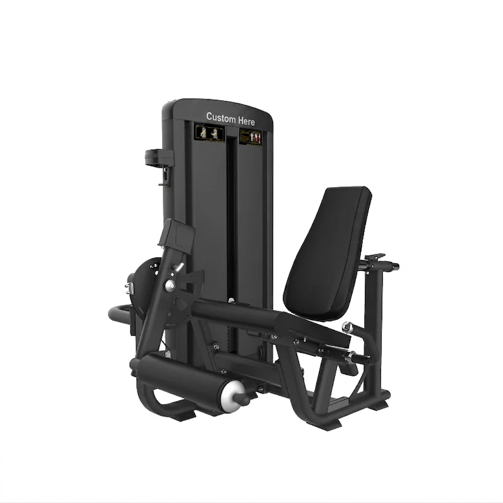 Seated Leg Extension